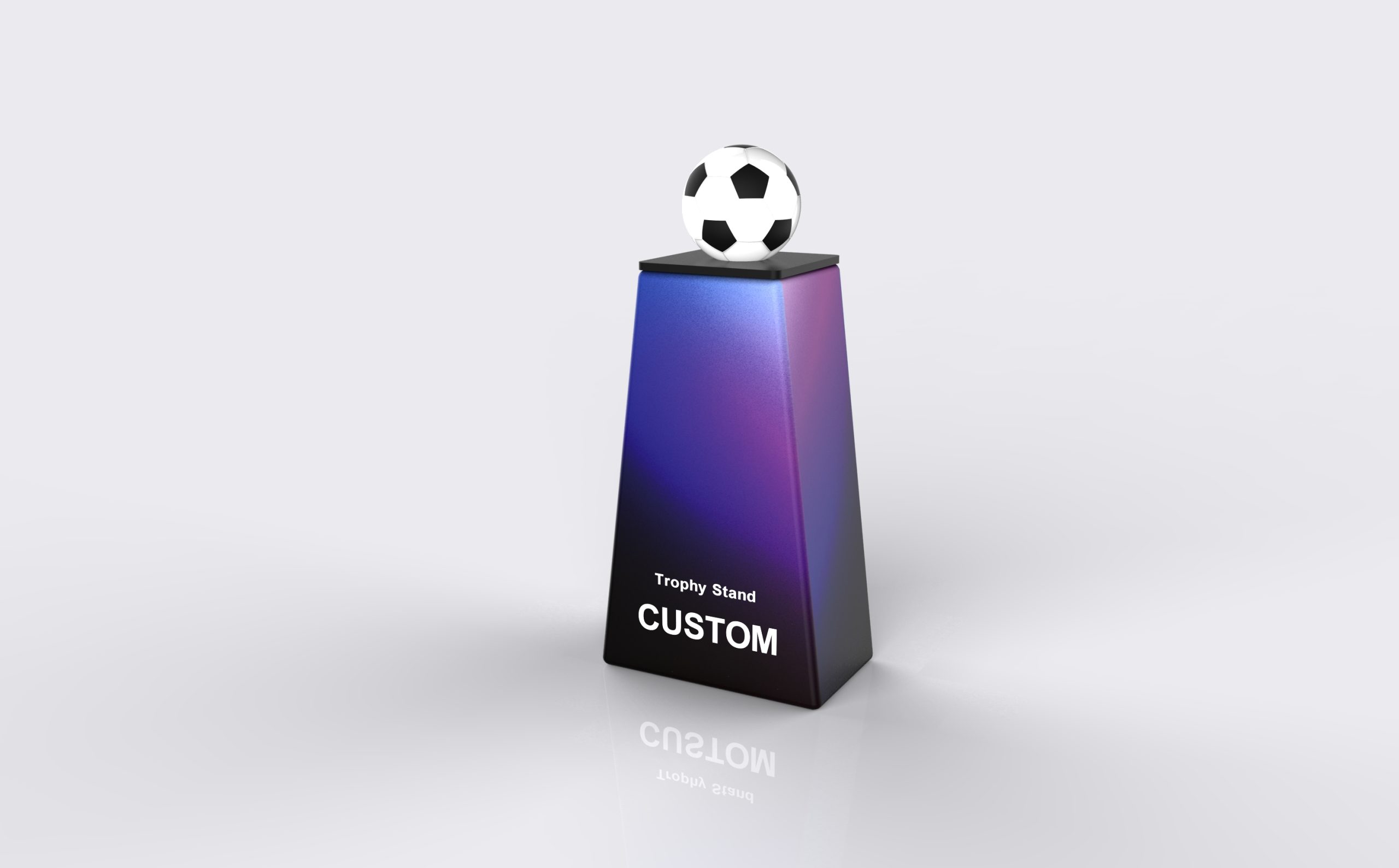 Freestanding Custom Display Stand frame or inspection view